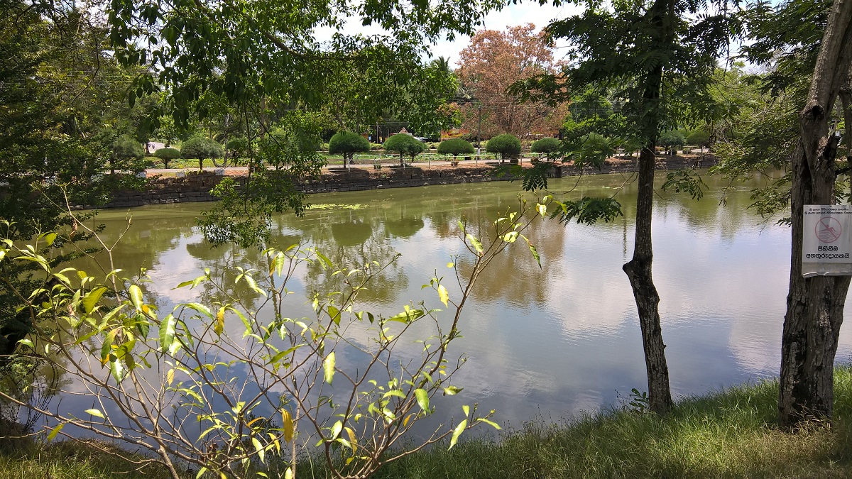 Lake in Anuradhapura