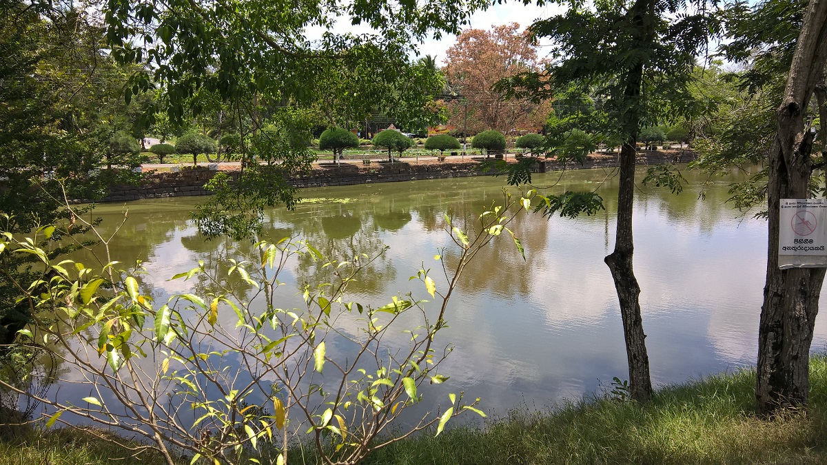 Lake in Anuradhapura