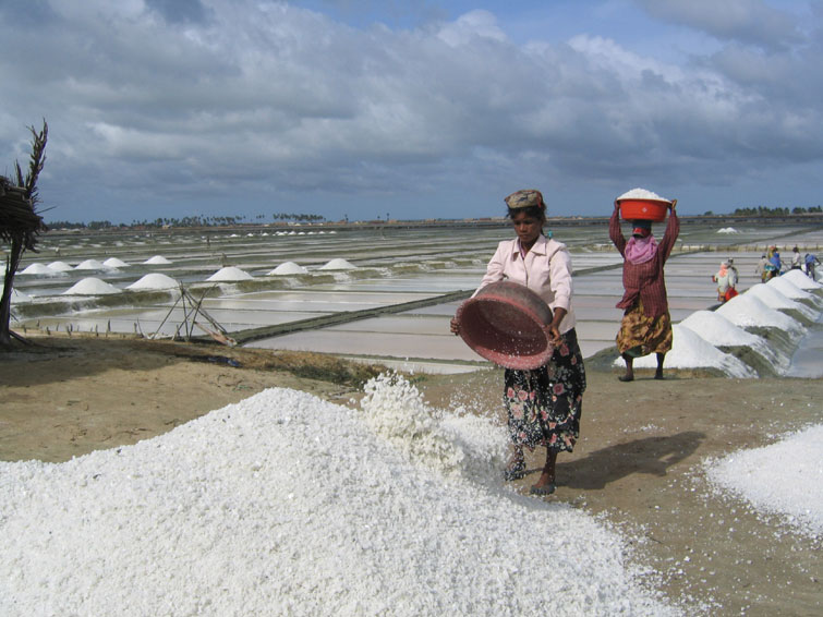 Salt fields Puttalam