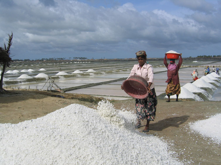 Puttalam Salt fields