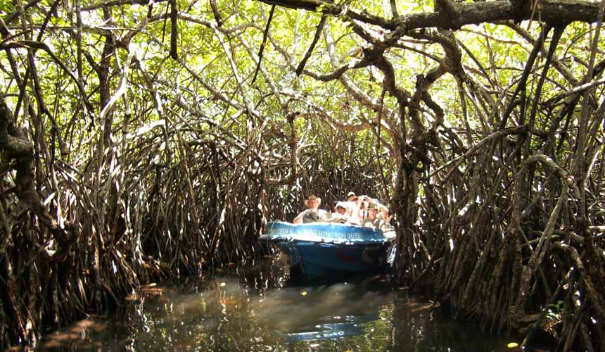 Madu River Bentota