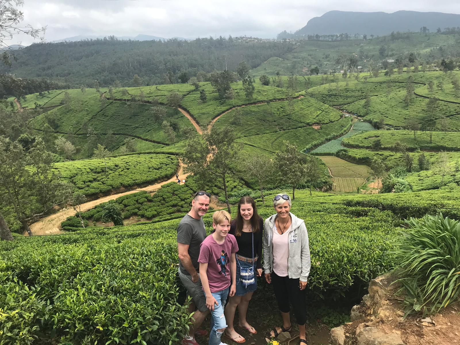 Tea Fields, Palm Lanka Tours