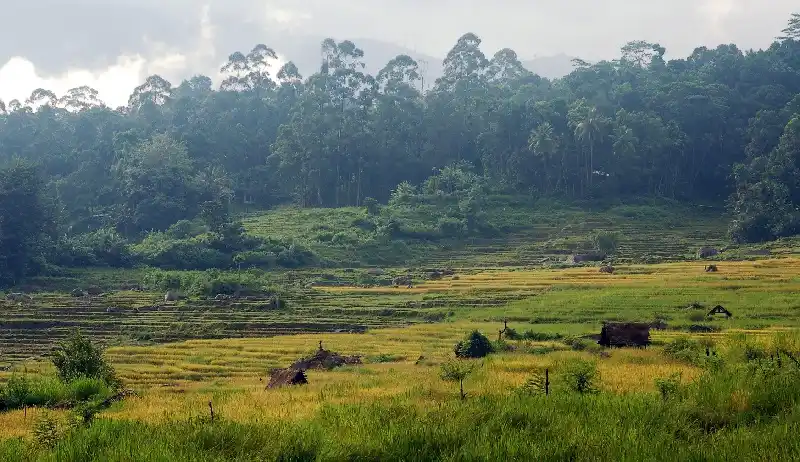 Biodiversity Sri Lanka 