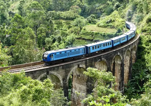 Train at the Nine Arch Bridge