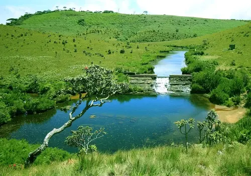 Horton Plains National Park