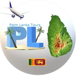 logo-under-site