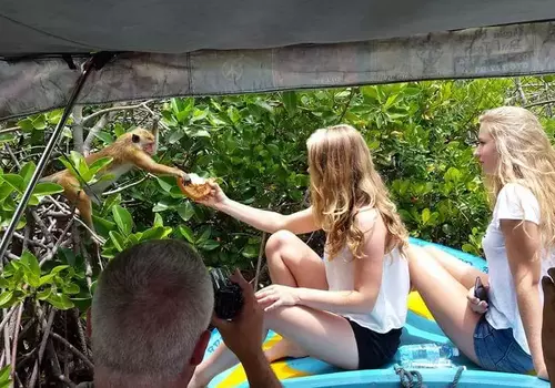 Boat tour Madu River Bentota