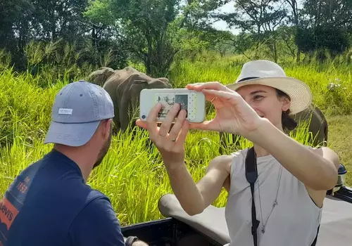 Minneriya Wildlife Safari