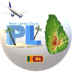 Palm Lanka Tours