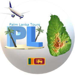 palm lanka tours