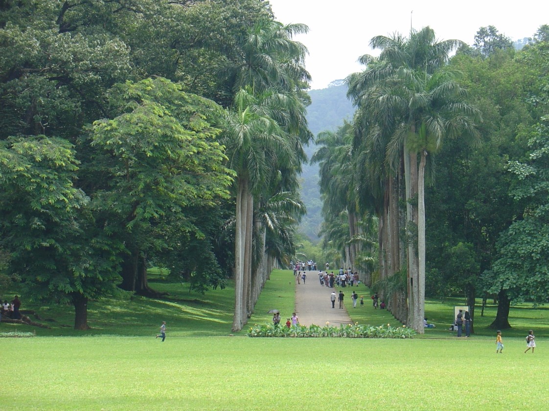 Royal Botanical Garden