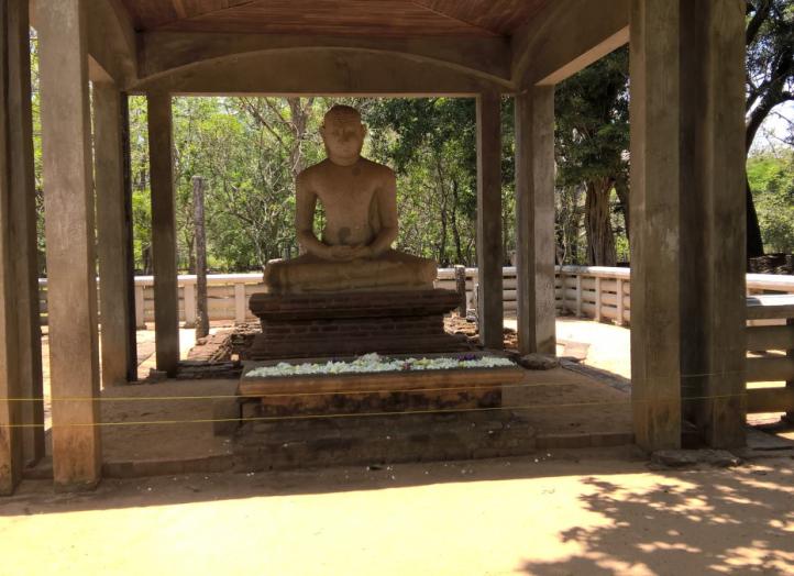 Anuradhapura Buddha Statue Palm Lanka Tours