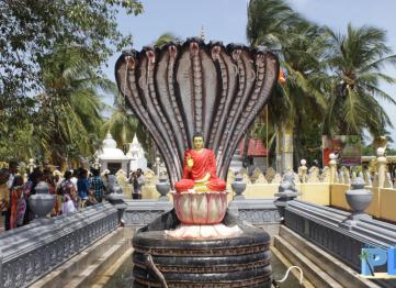 Hindu Temple Jaffna Palm Lanka Tours