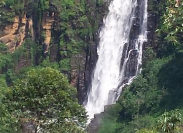Devon Waterfalls, Palm Lanka Tours