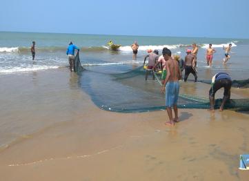 Negombo Beach Palm Lanka Tours