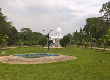 Viharamahadevi Park Palm Lanka Tours